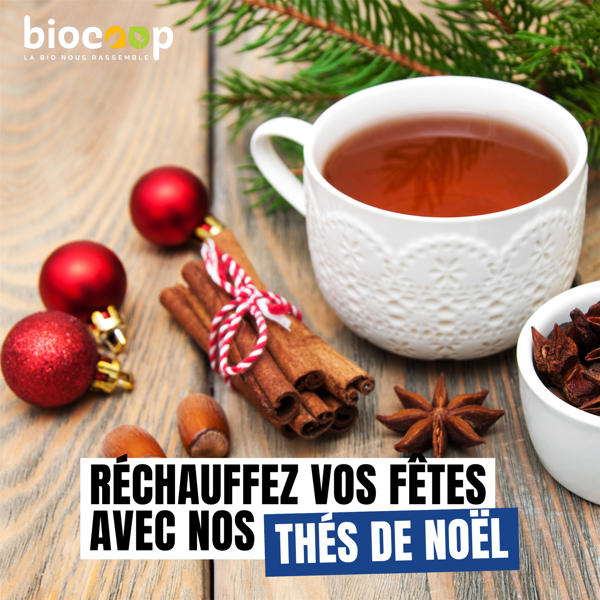 Découvrez nos thés bio et équitables !