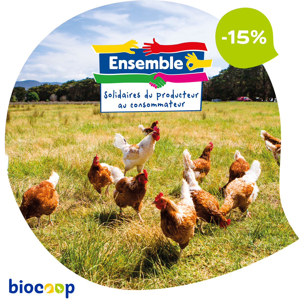 Découvrez le poulet bio équitable ! 😉