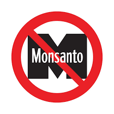 Pour contrer Monsanto, un allemand invente des graines de tomates Pour contrer Monsanto, un allemand invente des graines de tomates