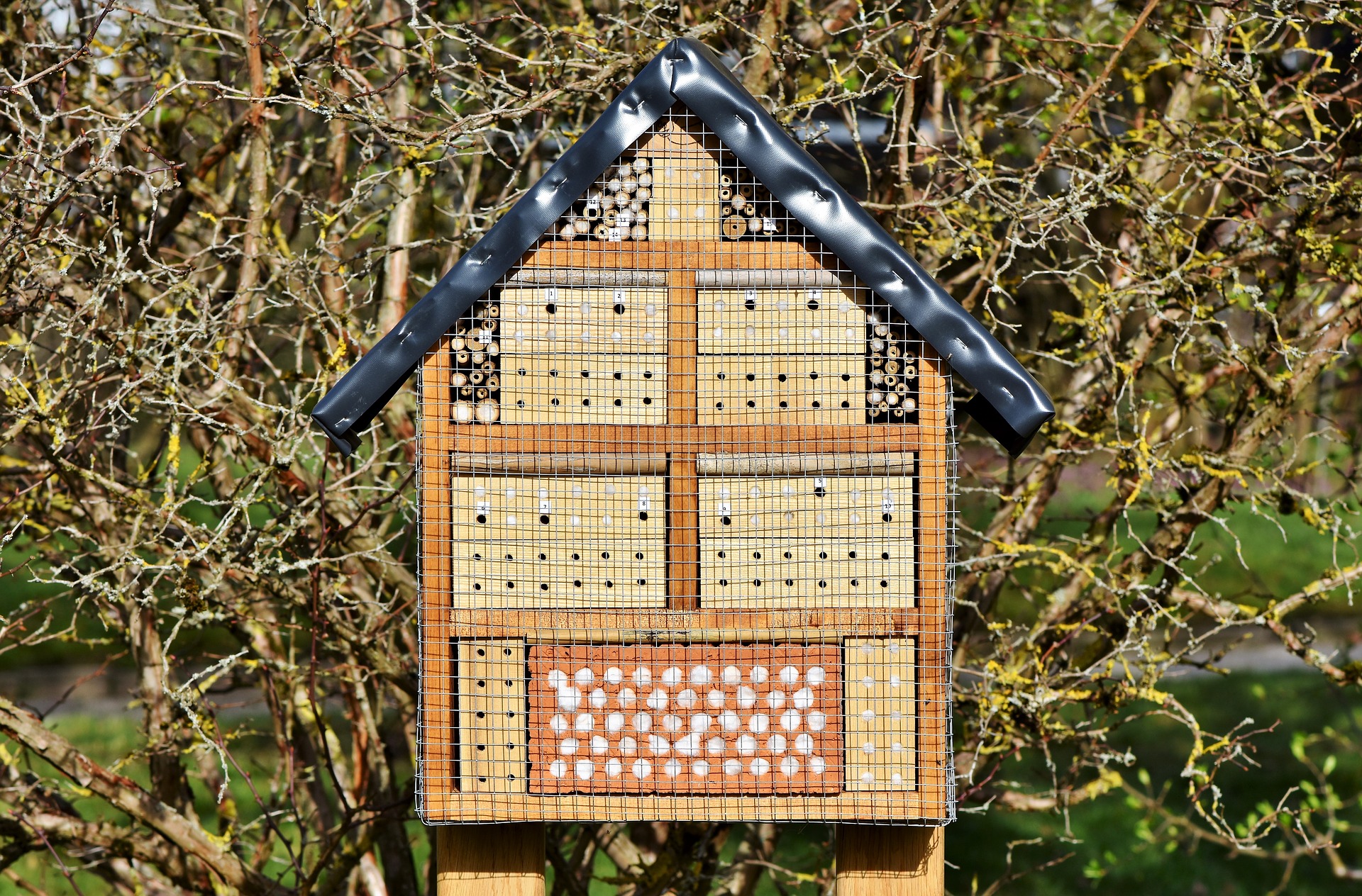 Connaissez-vous les hôtels à insectes ? Connaissez-vous les hôtels à insectes ?