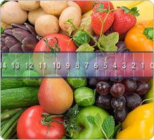 LE CONSEIL NUTRITION LE CONSEIL NUTRITION