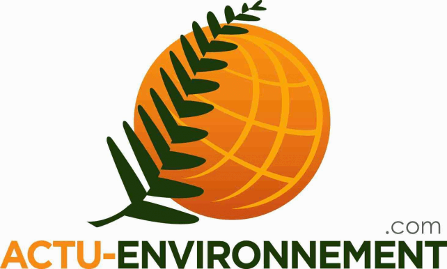Etudier et manger bio, c'est possible! Etudier et manger bio, c'est possible!