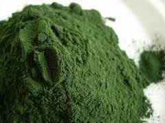 L’or de la spiruline, la phycocyanine L’or de la spiruline, la phycocyanine