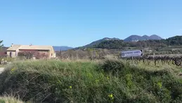 52-20170327111148-1.webp