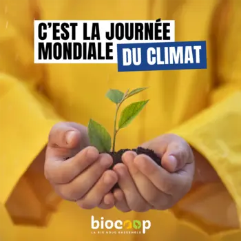 Aujourd’hui, c’est la Journée mondiale du climat !