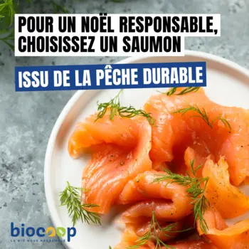 Le saumon, incontournable des repas de Noël !